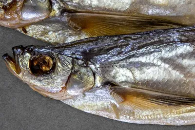 Чехонь вяленая | Вобла - Интернет-магазин вяленой рыбы