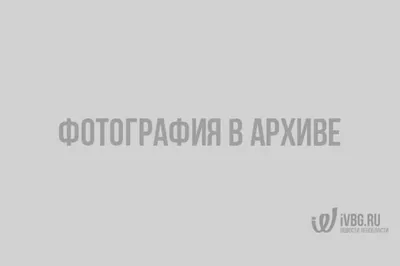 Житель Комсомольска подозревается в краже элитного алкоголя в Иванове