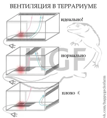 Основы содержания