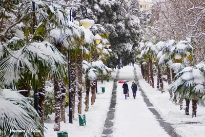 Зима в Крыму: фото ко Всемирному дню снега | Фотографии | Туристический  портал Республики Крым