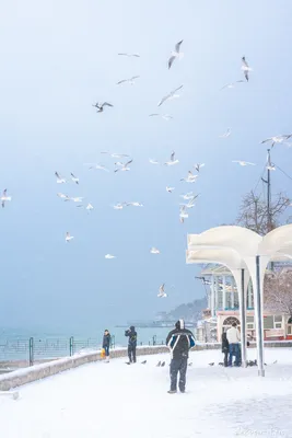 Приезжайте в отель Yalta Intourist зимой!