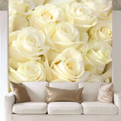 Фотообои флизелиновые 250х130 см белые розы купить недорого в интернет  магазине отделочных материалов Бауцентр