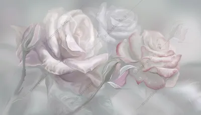 Фотообои Нежные 3д розы на стену, Арт. 13-388 купить в Москве в  интернет-магазине, цены в Мастерфресок