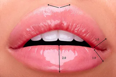Самые сексуальные губы: ученые рассчитали форму и объем