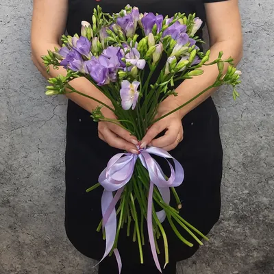 Букет из 25 фиолетовых фрезий – купить с бесплатной доставкой в Москве