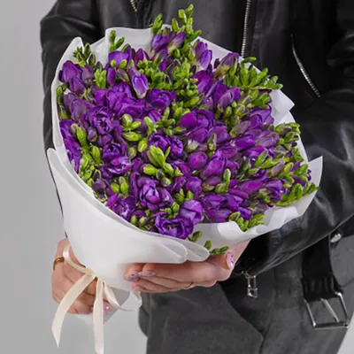 51 фиолетовая фрезия в букете | Бесплатная доставка цветов по Москве