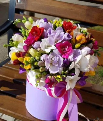 Букет цветов «Яркие фрезии» в коробке заказать с доставкой по цене 13 230  руб. в Ставрополе