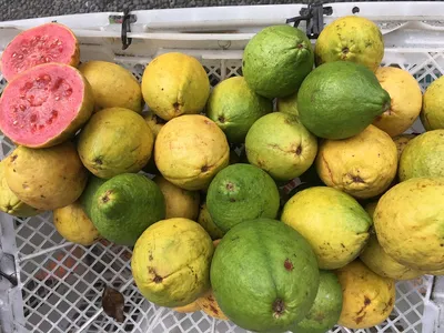 Свежие фрукты на местном рынке на Бали Стоковое Изображение - изображение  насчитывающей ð¸ðµð½ñ‚, ð¸ð½ð³ñ€ð¸ð: 160560997