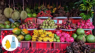 Авокадо на местном рынке на Бали Стоковое Фото - изображение насчитывающей  oñ€oð²o, ð·ðµð»ðµð½ñ‹ð¹: 160559676