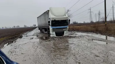Фура DAF XF на 20 тонн в аренду - Фургоны. ЦЕНТРУС - Киев, Украина