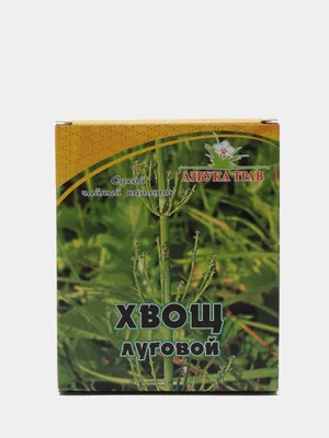 Хвощ луговой, трава 25гр Азбука трав купить по цене 142.8 ₽ в  интернет-магазине KazanExpress