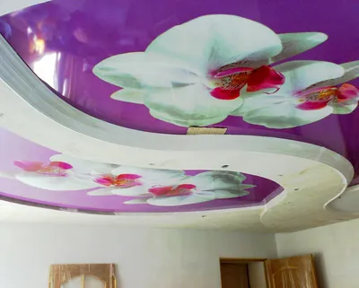 3Д натяжные потолки в Бийске – заказать 3D натяжной потолок с установкой по  лучшей цене от «Территория комфорта»
