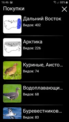 Птицы московской области фото с названиями: от дрозда до зеленой пересмешки