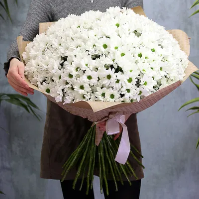 Купить цветы букет Букет из 51 белой кустовой хризантемы Бакарди в интернет  магазине в СПб