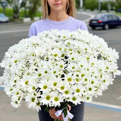 101 белая кустовая ромашковая хризантема в букете за 28 790 руб. |  Бесплатная доставка цветов по Москве