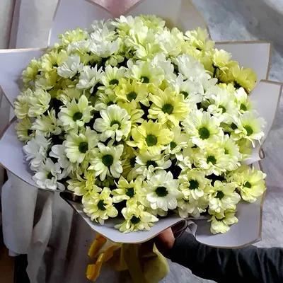 41 зеленая ромашковая кустовая хризантема в букете за 13 090 руб. |  Бесплатная доставка цветов по Москве