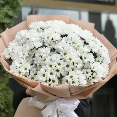 41 белая кустовая ромашковая хризантема в букете за 13 090 руб. |  Бесплатная доставка цветов по Москве
