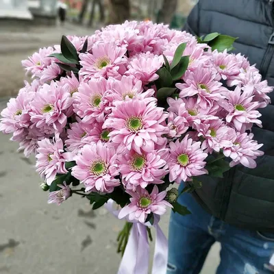 29 розовых кустовых ромашковых хризантем в букете за 9 590 руб. |  Бесплатная доставка цветов по Москве