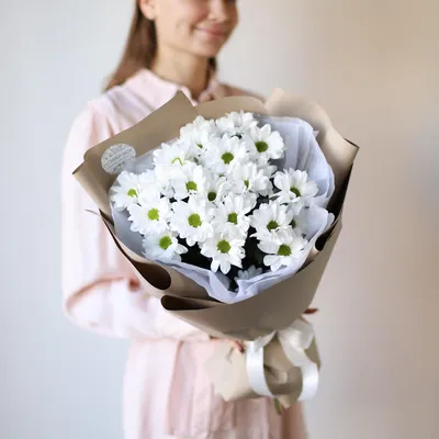 Хризантема ромашковая в бежевом оформлении (3шт) №1165 купить в Саранске
