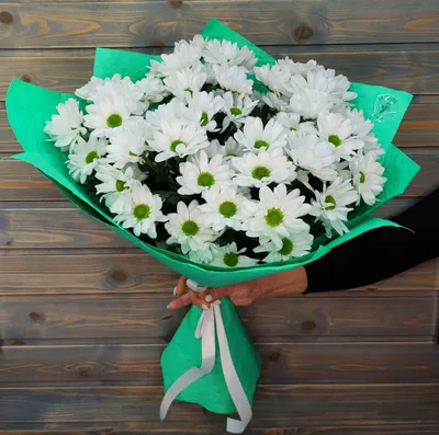 Букет 7 белых ромашковых хризантем заказать такой букет цветов для  именинника с доставкой в Тамбове поможет 68cvetov.ru