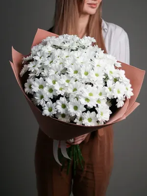 Сборный букет из 13 кустовых белых хризантем - купить в Омске в цветочной  мастерской Лаванда
