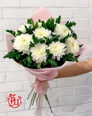 Букет из белых и розовых хризантем - купить с доставкой от ElitBuket