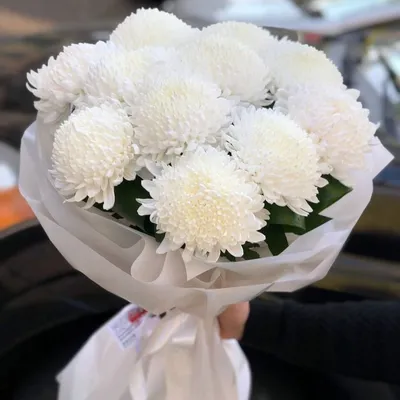 Букет 15 белых кустовых хризантем в фиолетовой упаковке купить за 5 490  руб. с круглосуточной доставкой по Москве | Мосцветторг
