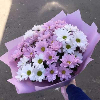 Букет из гвоздик и хризантем - купить в Москве по цене 4190 р - Magic Flower