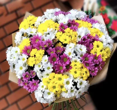 Букет Одноголовая Хризантема 25 штук купить! Доставка цветов по всему  Казахстану