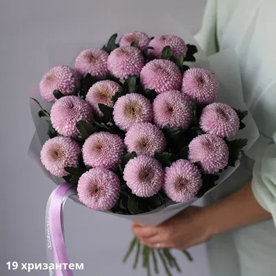 Купить Букеты с хризантемами «Букет из хризантем «Джу»» в Троицке - «Я  люблю цветы»