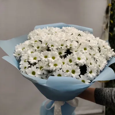 Заказать Букет из 9 белых хризантем - Bloom.by
