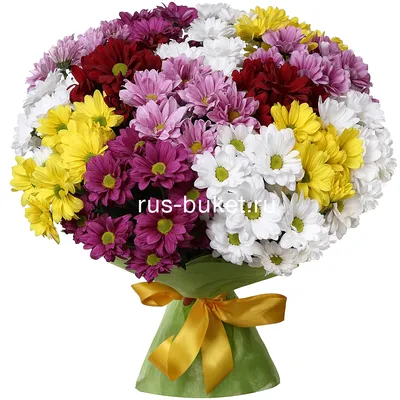 Букет с хризантемой- 15шт | Цветы в Костроме | ул. Сенная, д. 26 - Самые  стильные букеты в городе