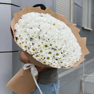 Дуо-букет сирень и хризантемы Момоко - купить в Москве | Flowerna
