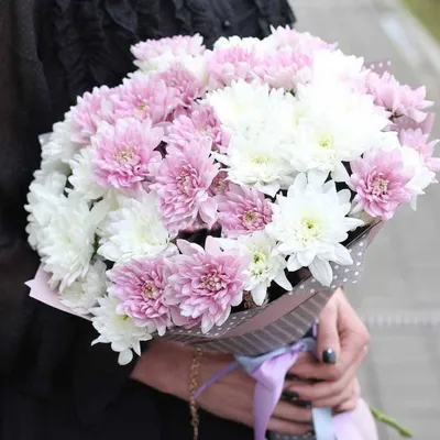 Заказать цветы Нежный букет из белой и розовой хризантемы в упаковке с  доставкой по Беларуси | Happybee.by