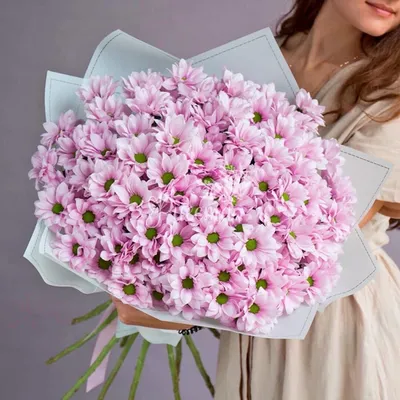 Букет розовых кустовых хризантем | доставка по Москве и области