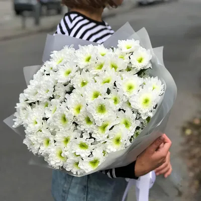 Купить Букеты с хризантемами «Букет из хризантем «Джу»» в Троицке - «Я  люблю цветы»