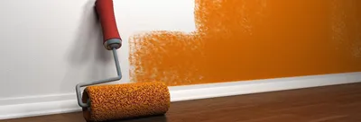 Какую краску выбрать, чтобы наслаждаться красивыми стенами? 👷 Читайте в  блоге магазина строительных материалов okoloremonta.ua