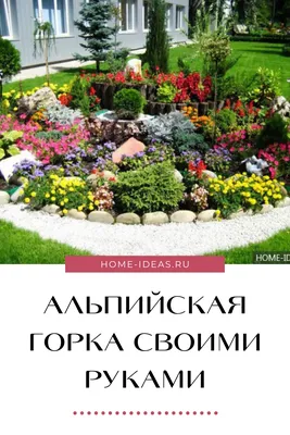 10 самых частых вопросов про альпийские горки и каменистые сады | Дизайн  участка (Огород.ru)