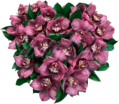 Сердце из цветов «Дикая орхидея» - купить в Екатеринбурге с доставкой