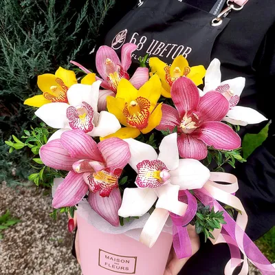Дикая орхидея в сердце за 11 690 руб. | Бесплатная доставка цветов по Москве