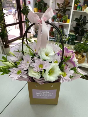 или дикая орхидея на пастбище экстремадуры Стоковое Фото - изображение  насчитывающей цветок, макрос: 219179222