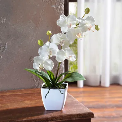 Интерьер дома и дачи :: Искусственные цветы и растения :: Декоративная  искусственная орхидея в горшке