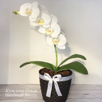 Белая орхидея в горшке из фоамирана, ручная работа | Орхидея, Горшки,  Поделки