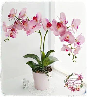 Имитация настоящих орхидей. Цветочная композиция. Орхидея в горшке –  заказать на Ярмарке Мастеров – FTSCNBY | Композиции, Гай