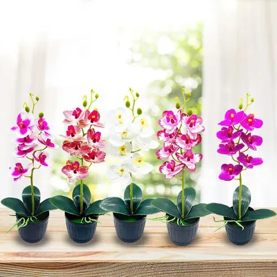 Искусственные цветы орхидеи в горшке, пластиковая витрина, имитация  растений в горшке, искусственные цветы, домашний декор, 1 комплект - купить  по выгодной цене | AliExpress