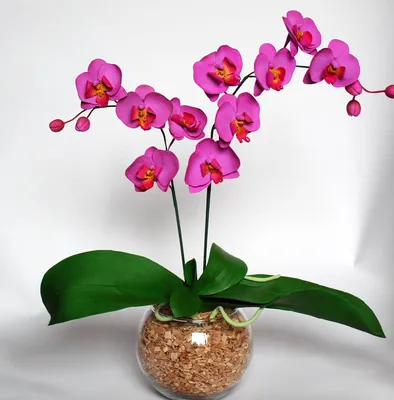 Орхидея своими руками: как и из чего можно сделать красивый цветок своими  руками (105 фото)