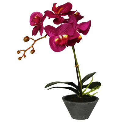 Латексная Орхидея Premium в Высоком Напольном Белом Горшке на 5 Веточек  Сиреневый 100 См 0155 — в Категории \"искусственные Цветы и Ветки\" на  Bigl.ua (1613045183)