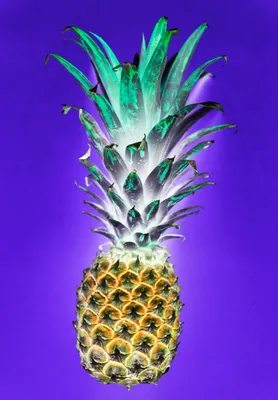 картинки : Ананас, ананас, организм, Бромелиевые, фрукты, цветущее  растение, производить, Обои для рабочего стола компьютера 2784x4000 -  rawpixel.com - 1546313 - красивые картинки - PxHere