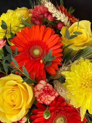 Купить коробку цветов «Букет Абхазии» с доставкой в Благовещенске ❤  Azeriflores.ru — Благовещенск
