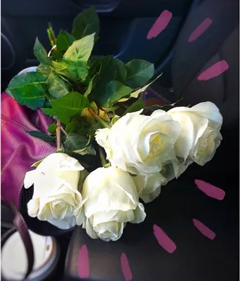 Букеты роз в машине на сиденье (30 фото)